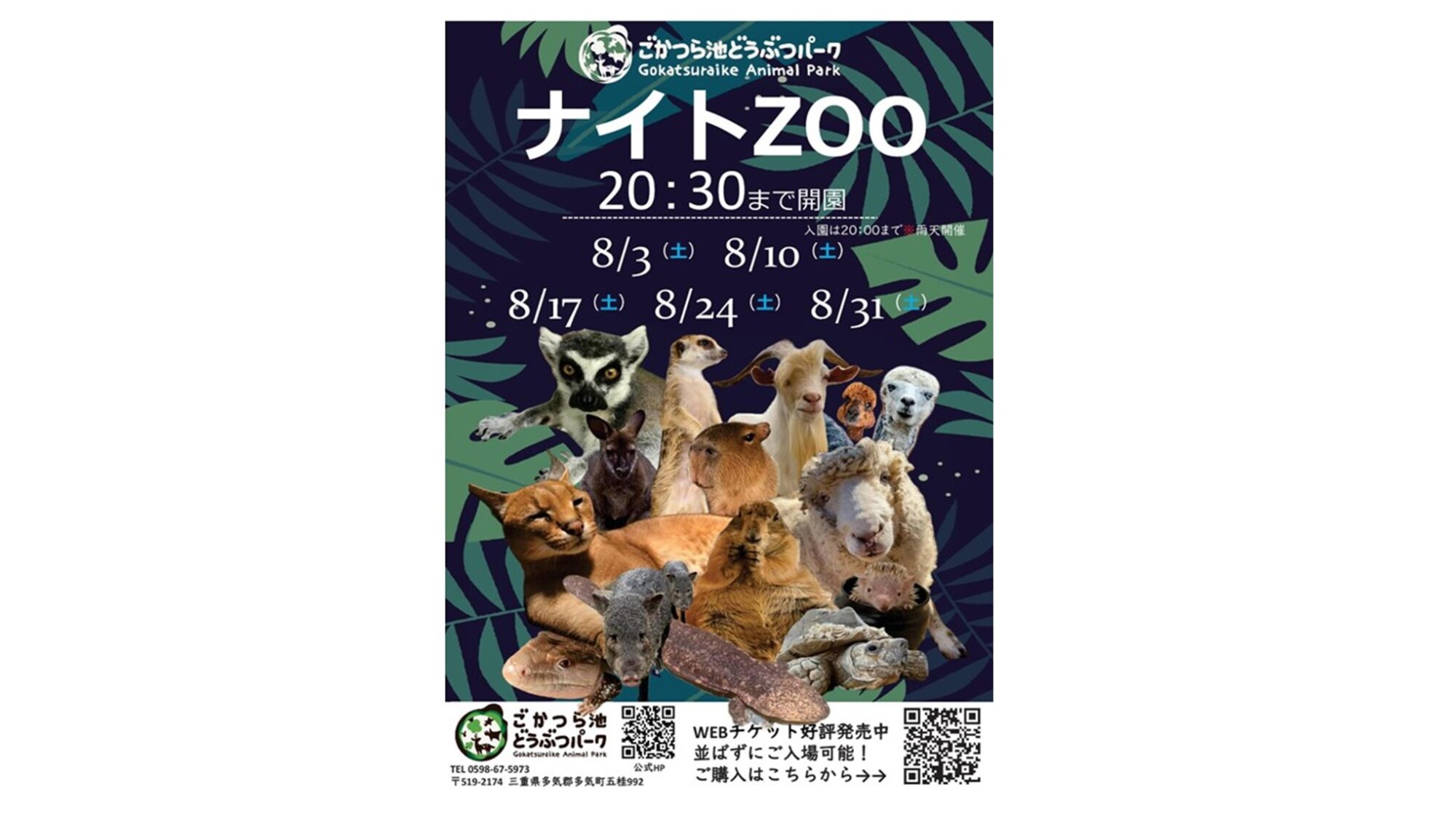 ナイトZOO