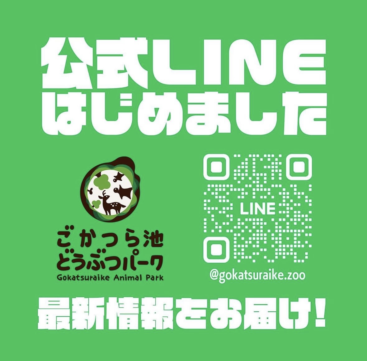 公式LINEを始めました！