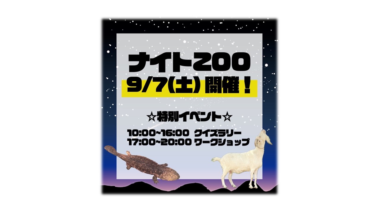 ナイトZOO