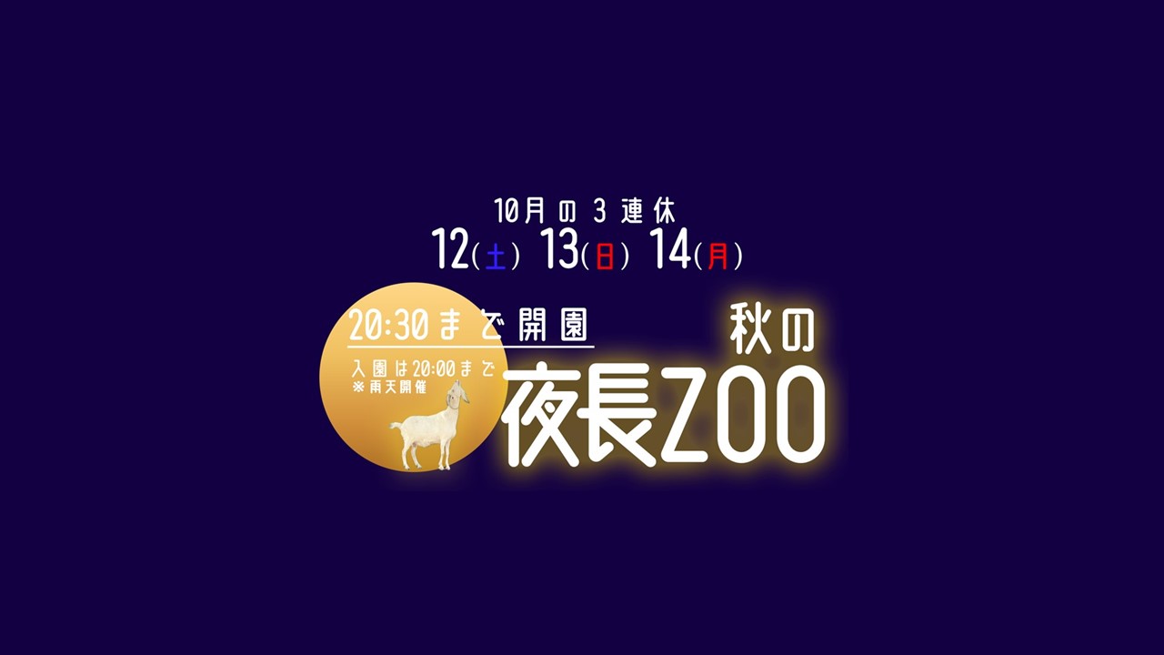 秋の夜長ZOOを開催します！