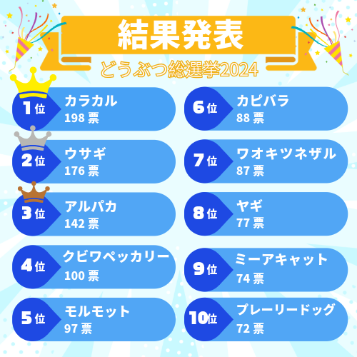 《どうぶつ総選挙》結果発表‼