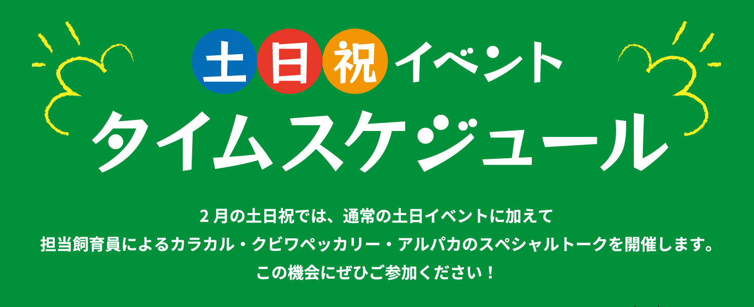 2月の土日祝はイベント盛りだくさん✨