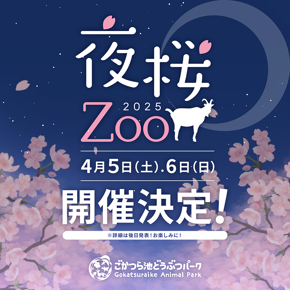 夜桜Zoo初開催のお知らせ